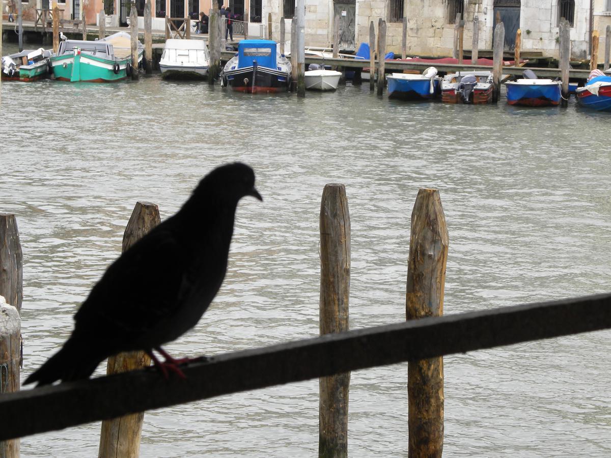 La Felice Canal Grande Venezia Esterno foto